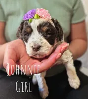 processed/47b2b5a9-ec87-4a0d-9bc3-c22c113f7bef/listing/8617825f-d124-44fc-b27f-f1c75904da54/81fb9f46-caf5-4ebf-91b9-8b0a7486f5e8