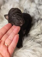 processed/47b2b5a9-ec87-4a0d-9bc3-c22c113f7bef/listing/ada6b53d-ae8e-4545-8b30-e70dc3a0e3c6/46272bb2-5d46-4192-8918-1223bbbb9d07