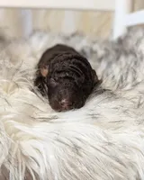 processed/47b2b5a9-ec87-4a0d-9bc3-c22c113f7bef/listing/ada6b53d-ae8e-4545-8b30-e70dc3a0e3c6/4663e4ed-726d-4232-97a3-741dcada0361