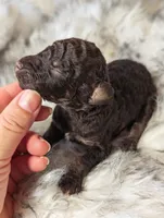 processed/47b2b5a9-ec87-4a0d-9bc3-c22c113f7bef/listing/ada6b53d-ae8e-4545-8b30-e70dc3a0e3c6/47e3a9eb-4425-4ccf-8b45-cd1d25507ce4