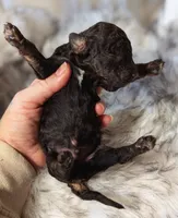 processed/47b2b5a9-ec87-4a0d-9bc3-c22c113f7bef/listing/ada6b53d-ae8e-4545-8b30-e70dc3a0e3c6/f6125735-fc72-4db7-a912-d5d163774e85