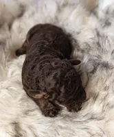 processed/47b2b5a9-ec87-4a0d-9bc3-c22c113f7bef/listing/cf9da1e9-1f0a-4594-a392-06f03423d702/095afa9f-1536-4bad-a98d-4e29c2cceb55