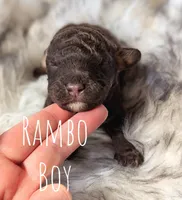 processed/47b2b5a9-ec87-4a0d-9bc3-c22c113f7bef/listing/cf9da1e9-1f0a-4594-a392-06f03423d702/b6d477bc-814a-4b6a-a596-f81d0f1feb15