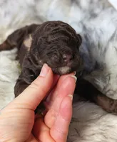 processed/47b2b5a9-ec87-4a0d-9bc3-c22c113f7bef/listing/cf9da1e9-1f0a-4594-a392-06f03423d702/c9ee92c2-3e2c-43c8-b3d2-a4d377c961ee