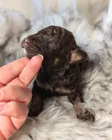 processed/47b2b5a9-ec87-4a0d-9bc3-c22c113f7bef/listing/cf9da1e9-1f0a-4594-a392-06f03423d702/d427148a-0ec2-40db-b81b-cfcec34b6481