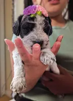 processed/47b2b5a9-ec87-4a0d-9bc3-c22c113f7bef/listing/d6d12bc1-9af8-4d72-b275-cdc125a9bdcd/4c94a529-2424-47be-b9c3-fc924e3a78f3