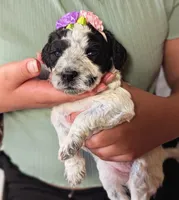 processed/47b2b5a9-ec87-4a0d-9bc3-c22c113f7bef/listing/d6d12bc1-9af8-4d72-b275-cdc125a9bdcd/7ed92cfa-f210-489a-8087-d6f8ec005d2e