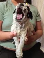 processed/47b2b5a9-ec87-4a0d-9bc3-c22c113f7bef/listing/d6d12bc1-9af8-4d72-b275-cdc125a9bdcd/8b838a5c-b860-4222-ac2f-aac7ee3241b1