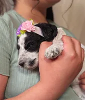 processed/47b2b5a9-ec87-4a0d-9bc3-c22c113f7bef/listing/d6d12bc1-9af8-4d72-b275-cdc125a9bdcd/acd658cd-eef0-42d1-809b-0c4d55a865a0