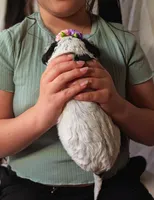 processed/47b2b5a9-ec87-4a0d-9bc3-c22c113f7bef/listing/d6d12bc1-9af8-4d72-b275-cdc125a9bdcd/f11e77e2-bc09-4256-a56b-ee5acbcf907f