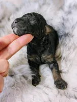 processed/47b2b5a9-ec87-4a0d-9bc3-c22c113f7bef/listing/f099a4f8-b581-4472-a467-3848e2c7ac34/19b9feda-b771-42c6-9463-972c9f9a8dd5