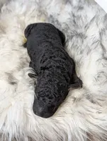 processed/47b2b5a9-ec87-4a0d-9bc3-c22c113f7bef/listing/f099a4f8-b581-4472-a467-3848e2c7ac34/d02d63d2-020c-4c41-9fcb-446e1b76085a