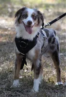 processed/47bc3711-580b-4099-8ace-59b02f5a7405/facility/0446ae61-0a54-41b4-a0fe-25ec20ff6e6c