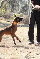 processed/47bc3711-580b-4099-8ace-59b02f5a7405/facility/fe81c780-e580-4322-9a36-29690e4b7363