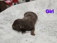 processed/47c3d7aa-9bd4-4b84-88ee-35ba7aadd8b9/listing/3f90ab41-b252-406f-8bc2-5c0f391db086/66c15011-6ae1-4d6f-a2e3-632be63f4032