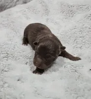 processed/47c3d7aa-9bd4-4b84-88ee-35ba7aadd8b9/listing/3f90ab41-b252-406f-8bc2-5c0f391db086/ce8b44cc-8c21-4a29-995a-63dde9813aaf