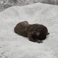 processed/47c3d7aa-9bd4-4b84-88ee-35ba7aadd8b9/listing/6abbe70e-ac7e-4a24-9cc4-d0835db31420/63a5aca3-12bc-48c4-b780-201c3ecd2287