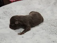 processed/47c3d7aa-9bd4-4b84-88ee-35ba7aadd8b9/listing/6abbe70e-ac7e-4a24-9cc4-d0835db31420/c00432c6-6638-4354-bfd2-46c555559a12