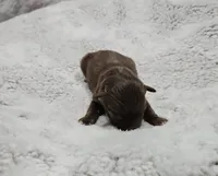 processed/47c3d7aa-9bd4-4b84-88ee-35ba7aadd8b9/listing/6abbe70e-ac7e-4a24-9cc4-d0835db31420/de42c284-4f8b-45d9-a34a-a486c239b6c0