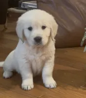 processed/47c9b08f-6711-4ddd-88c9-995b95daf622/listing/7887d91b-fe2d-454c-a49a-affc0d0e9d31/0215ce1f-90aa-448c-912d-85830f39c357