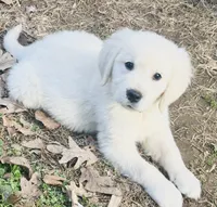 processed/47c9b08f-6711-4ddd-88c9-995b95daf622/listing/7887d91b-fe2d-454c-a49a-affc0d0e9d31/17b62b3c-e10b-4bb3-8ba5-17be05db861d