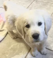 processed/47c9b08f-6711-4ddd-88c9-995b95daf622/listing/7887d91b-fe2d-454c-a49a-affc0d0e9d31/75cf9b57-1fa7-4691-b952-4c4fefe0272f