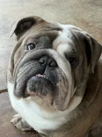 processed/47d38ebf-f449-4291-ae6f-5c8244a0e34b/facility/68f33f62-dba3-441e-be7e-d6c0878a2524