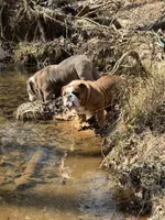 processed/47d38ebf-f449-4291-ae6f-5c8244a0e34b/facility/f6cfb763-430d-4a9a-b1a5-fae269ad1bb9