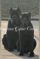 processed/47e27365-c712-476e-890e-b18233661e3b/facility/2003851f-9628-48dd-b035-ceca94832217