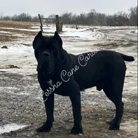 processed/47e27365-c712-476e-890e-b18233661e3b/facility/2a2e9ccd-12b3-478a-9684-80a9bf49850e