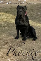 processed/47e27365-c712-476e-890e-b18233661e3b/facility/5049eadb-1082-4d8b-9ce2-d812ef5460eb