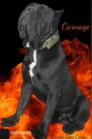 processed/47e27365-c712-476e-890e-b18233661e3b/facility/8fa23f71-004b-4f82-a726-5c21a2dedaef