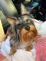 processed/47e2c8db-5021-49e2-929c-f2c53dbfd0c0/facility/afa8de4d-ccc6-4fa5-8054-f4cc8be724c1