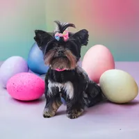 processed/47e2c8db-5021-49e2-929c-f2c53dbfd0c0/facility/cea18d3e-2156-46df-8f26-b12abafb88a0