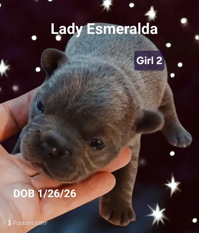 Lady Esmeralda