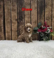 processed/47ee32fd-2759-4f22-aabc-475edbc99b40/listing/bec84f7c-e87b-4ce4-ab44-e67eccea70ff/0fe42154-e954-46c4-b8e0-b2f39d25e46c