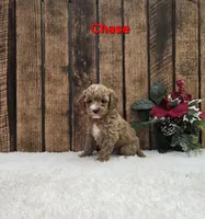 processed/47ee32fd-2759-4f22-aabc-475edbc99b40/listing/bec84f7c-e87b-4ce4-ab44-e67eccea70ff/ee2c8511-6984-463b-905a-2d1f7356b14e