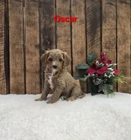 processed/47ee32fd-2759-4f22-aabc-475edbc99b40/listing/e539f527-209e-4f2b-9567-8083c61a9001/fbd8e73f-ed5d-459e-9d4c-7768946ffd31