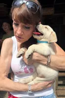 Puppy , a female Labrador Retriever for sale in St. Petersburg, FL – 5 of 7