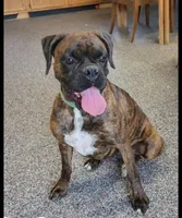 processed/47f7abd9-35ba-4a94-a8aa-a095dae0bbb4/facility/6647a9be-4329-4417-89fe-3b4936a4bb0e