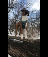 processed/47f7abd9-35ba-4a94-a8aa-a095dae0bbb4/facility/d4fe8c56-9bf9-437e-9913-b06628b192ee