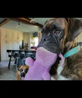 processed/47f7abd9-35ba-4a94-a8aa-a095dae0bbb4/facility/f29316f0-2838-4e73-85b2-99d0474e562b