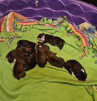 processed/47f7abd9-35ba-4a94-a8aa-a095dae0bbb4/facility/f4ee4ea9-9f63-4006-ab7e-6100d718fae7