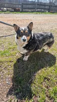 Facility photo