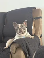 processed/4802ddab-6327-4b86-a101-6474d7a9d6a8/facility/5415792e-3727-4600-950e-948e4f62669b