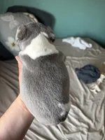 processed/4802ddab-6327-4b86-a101-6474d7a9d6a8/facility/67accb8b-11e2-414e-937b-409afbb7d362