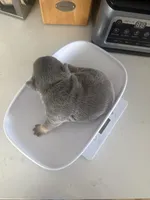 processed/4802ddab-6327-4b86-a101-6474d7a9d6a8/facility/ad0115c2-7a74-4103-8389-03c5a72abb69