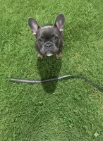 processed/4802ddab-6327-4b86-a101-6474d7a9d6a8/facility/c905d3a5-42a4-483b-a42b-71157d8e53a1