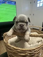 processed/4802ddab-6327-4b86-a101-6474d7a9d6a8/facility/d9345cbe-1138-46bf-b369-8529570ff7bf