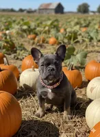 processed/4802ddab-6327-4b86-a101-6474d7a9d6a8/facility/de46cde1-99dc-44ea-ae12-bfc58e3f6087